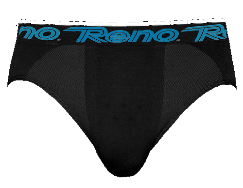 Reno Cup Support Brief